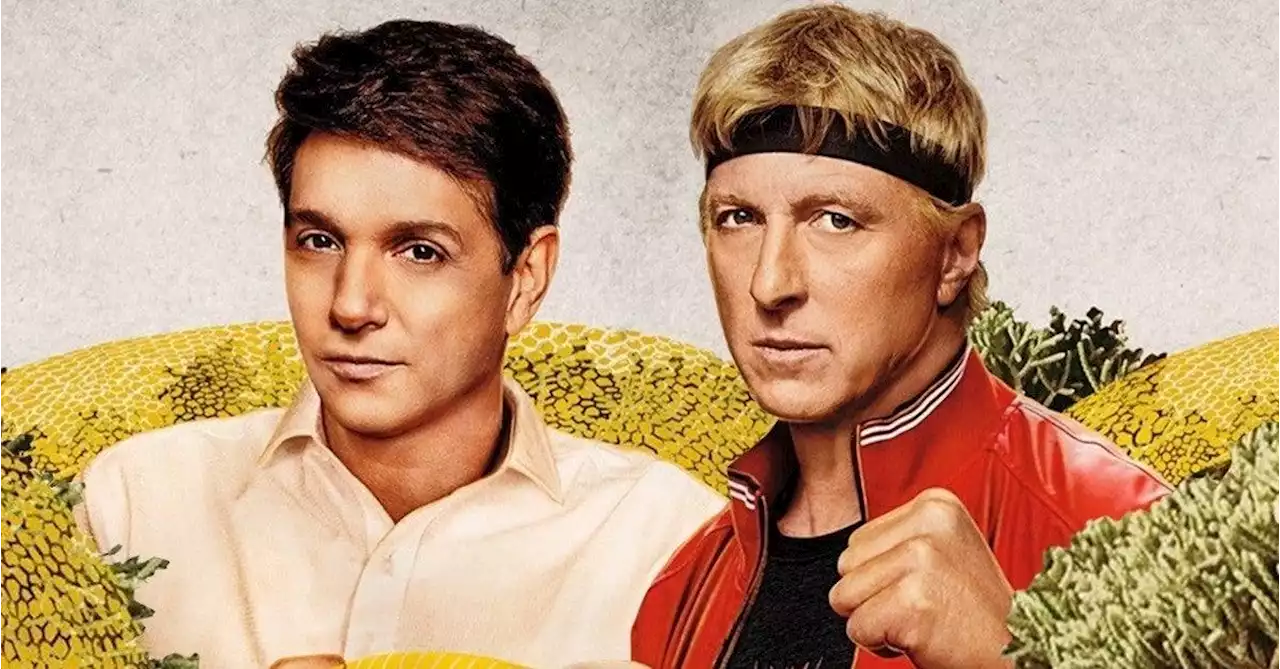 Cobra Kai Co-Creator Reacts to New Karate Kid Movie Announcement