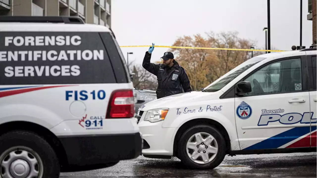 Man stabbed outside bar near Toronto's Christie Pits Park