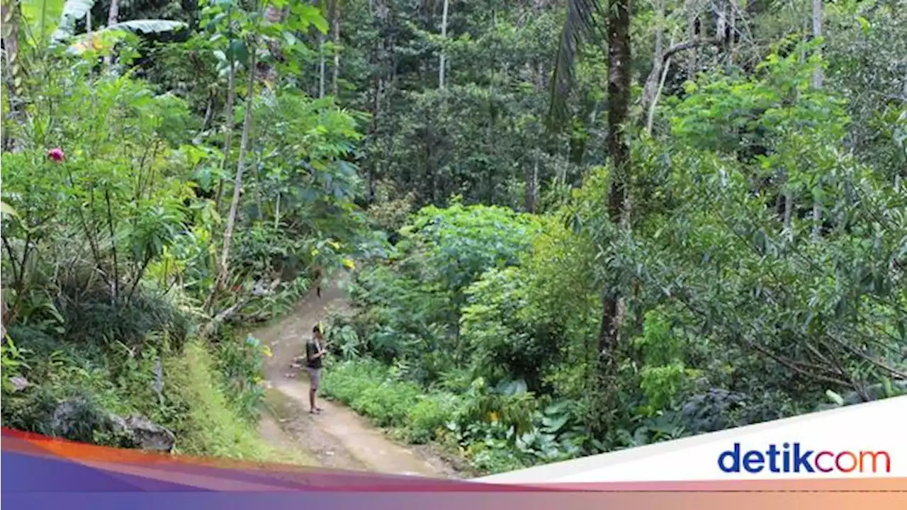 Mengunjungi Dusun Terpencil Plandi Banyumas, Mayoritas Warganya Umat Buddha