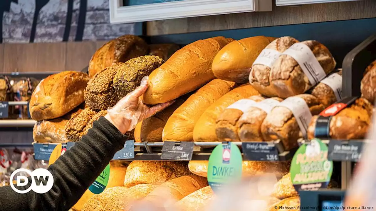 Deutschland: Kostet ein Brot bald zehn Euro? | DW | 15.09.2022