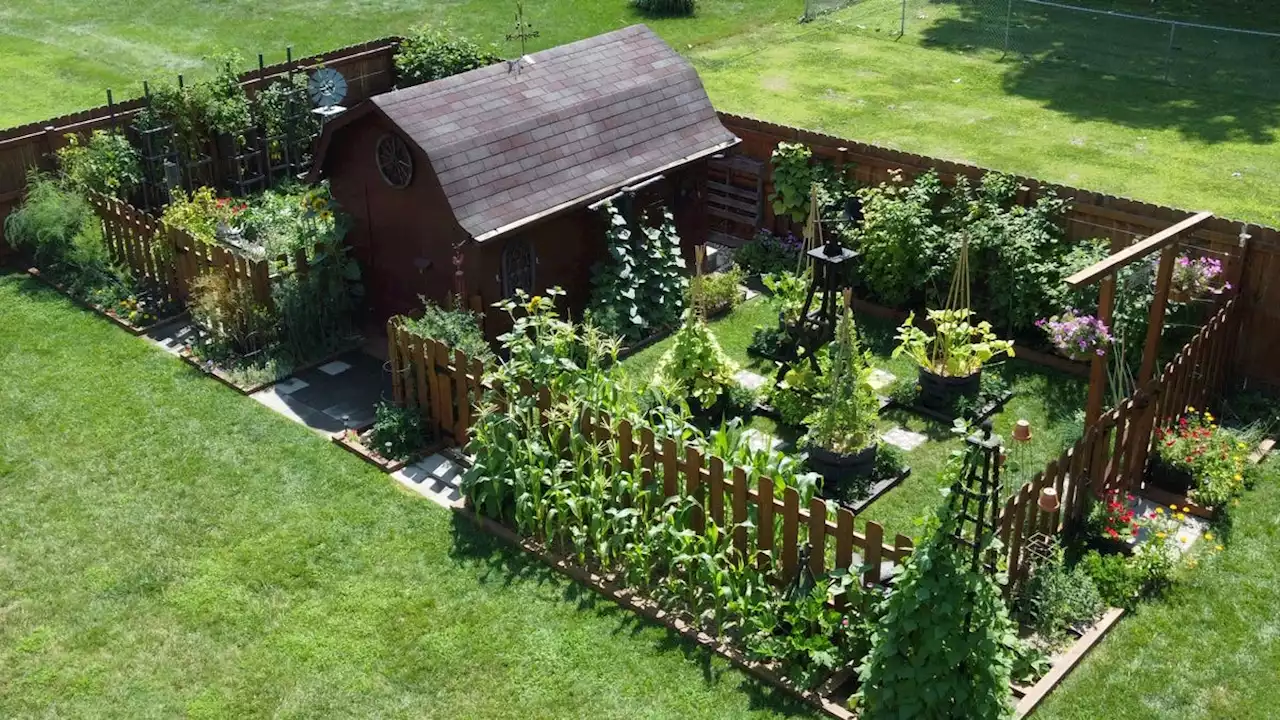 Dispatch Backyard Garden Award winners show fruits (flowers and veggies) of their labor