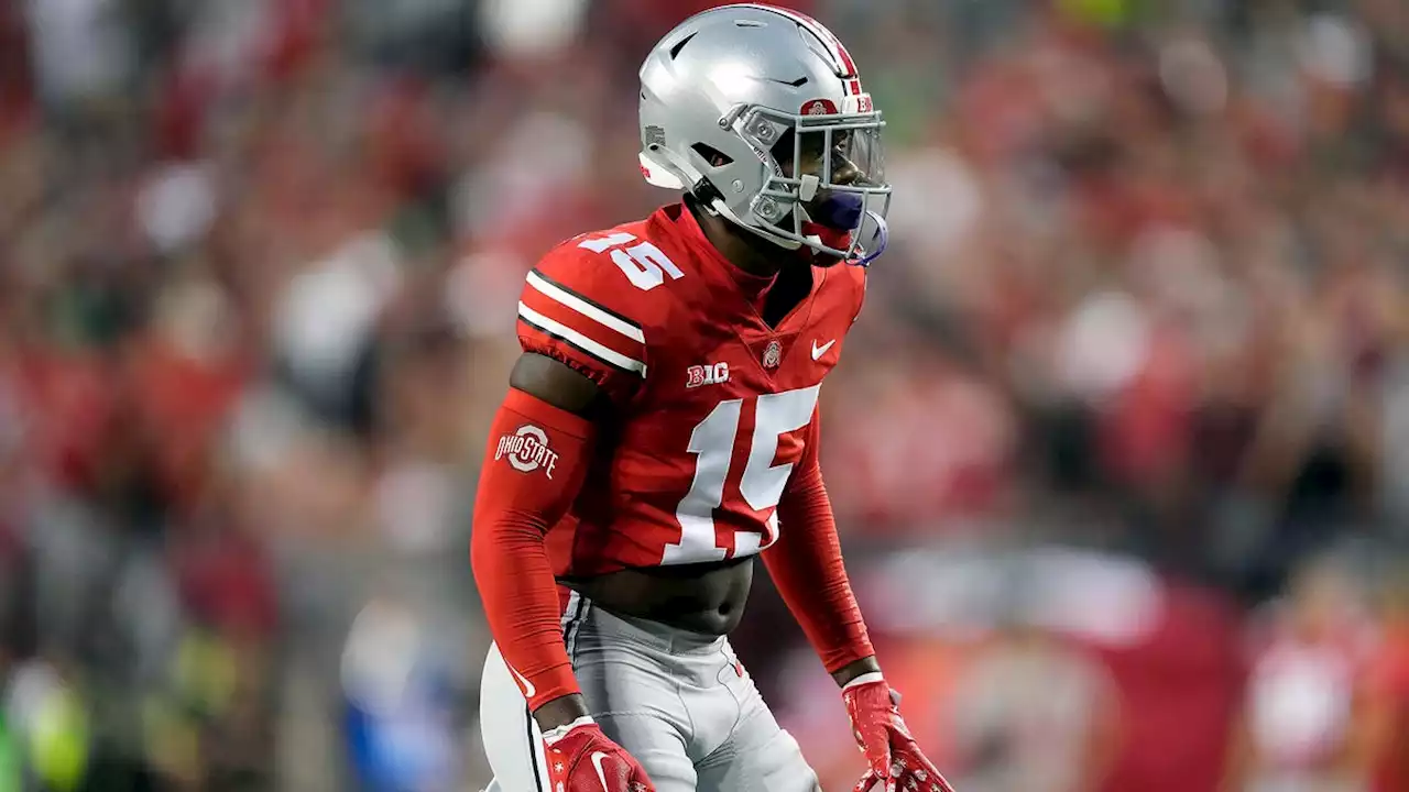 Veteran transfer Tanner McCalister making impact in Ohio State football secondary