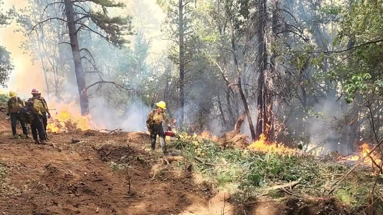 California’s Mosquito Fire burns over 73,000 acres, growth may slow with expected rainfall