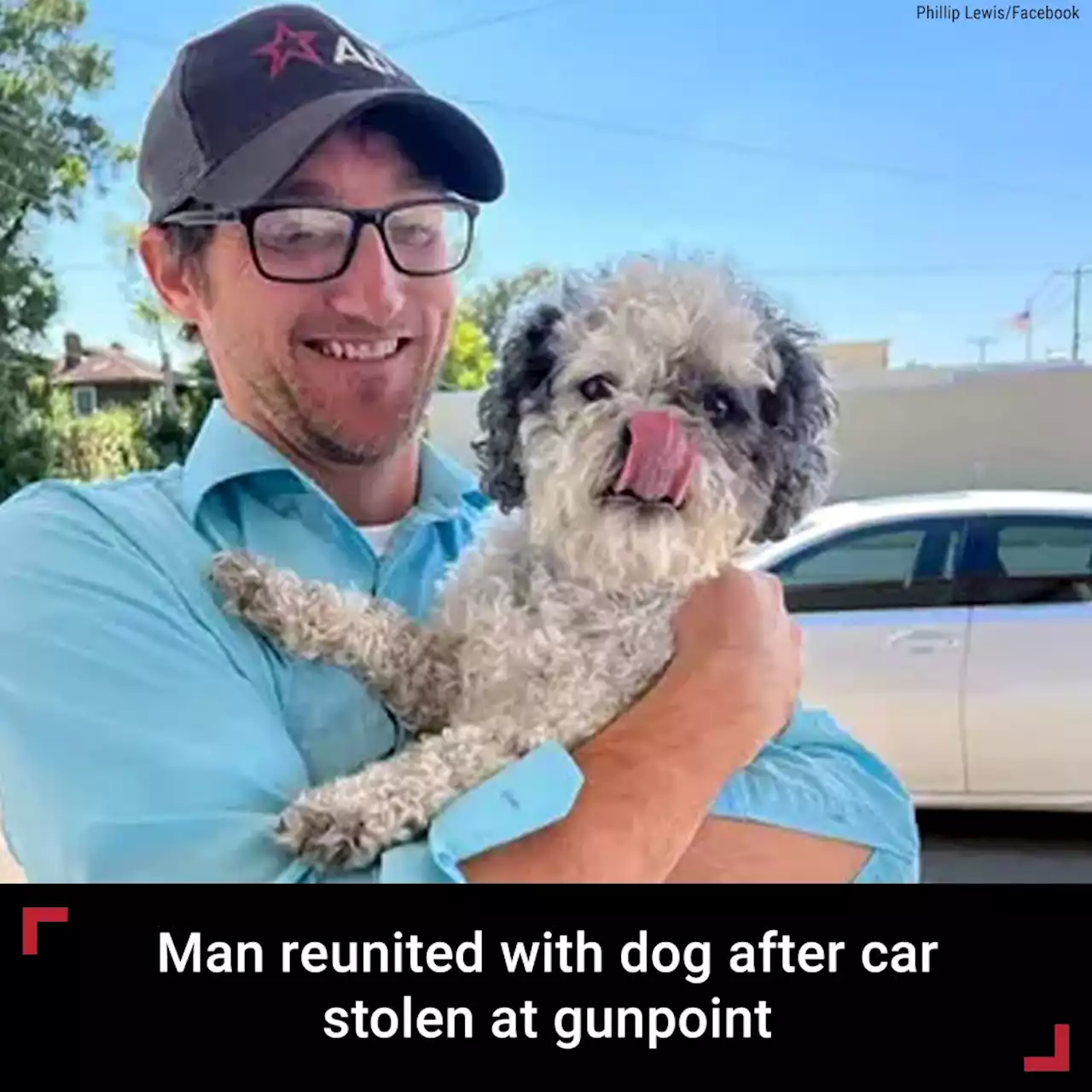 Alabama man is reunited with dog after it was swept off in carjacking: He's my 'little buddy'