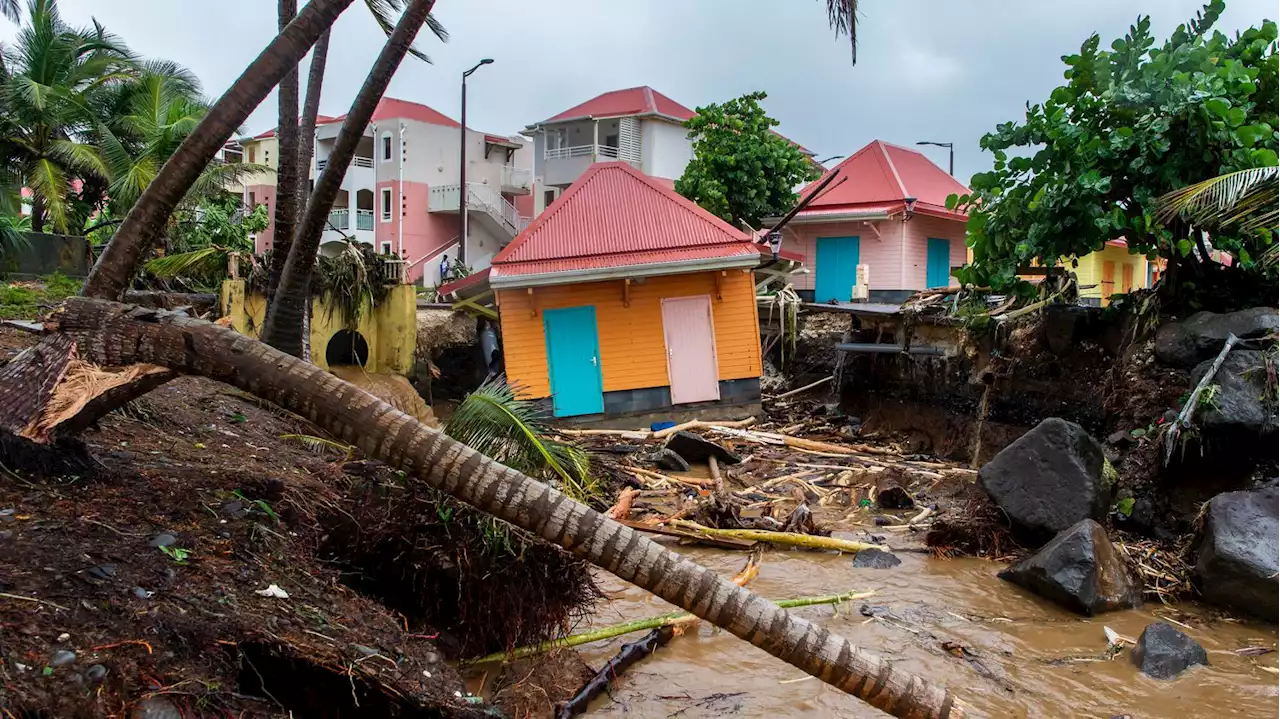 Tempête Fiona : 'Des images de désolation' en Guadeloupe, décrit le maire de Basse-Terre