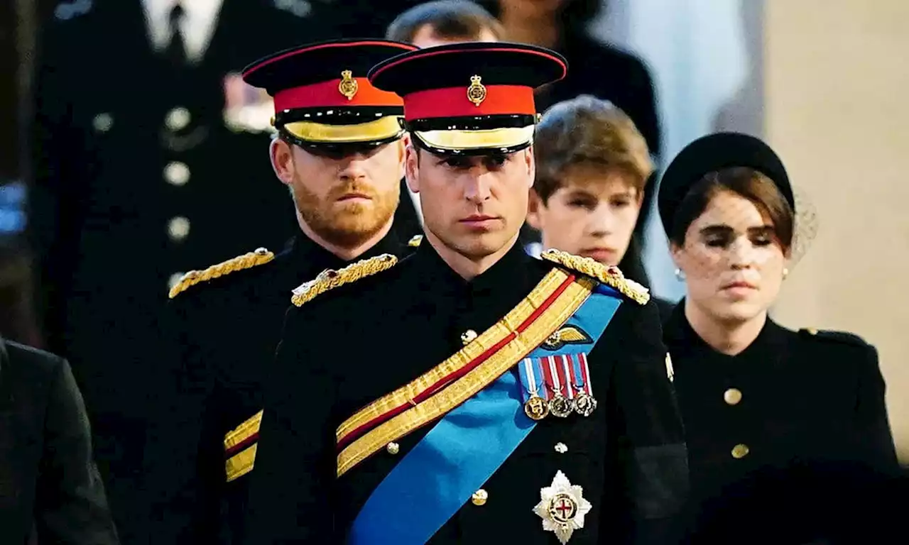 Royal fans spot differences between Prince Harry and Prince William's uniform during Westminster Vigil