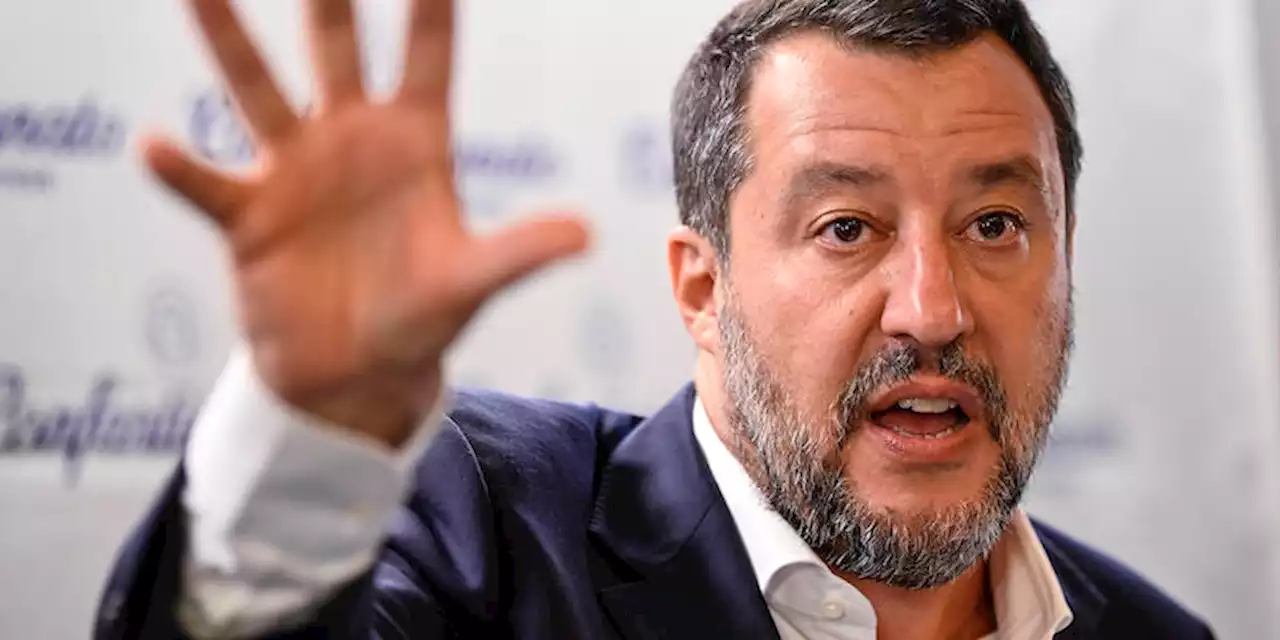 Matteo Salvini non ha preso bene le critiche di Mario Draghi - Il Post