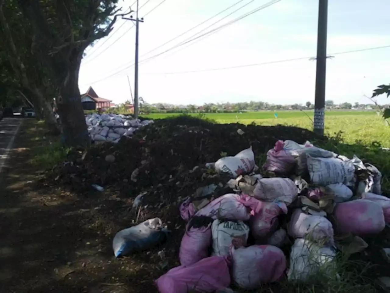 Uruk Lahan Lapak UMKM Kelun dengan Sedimen