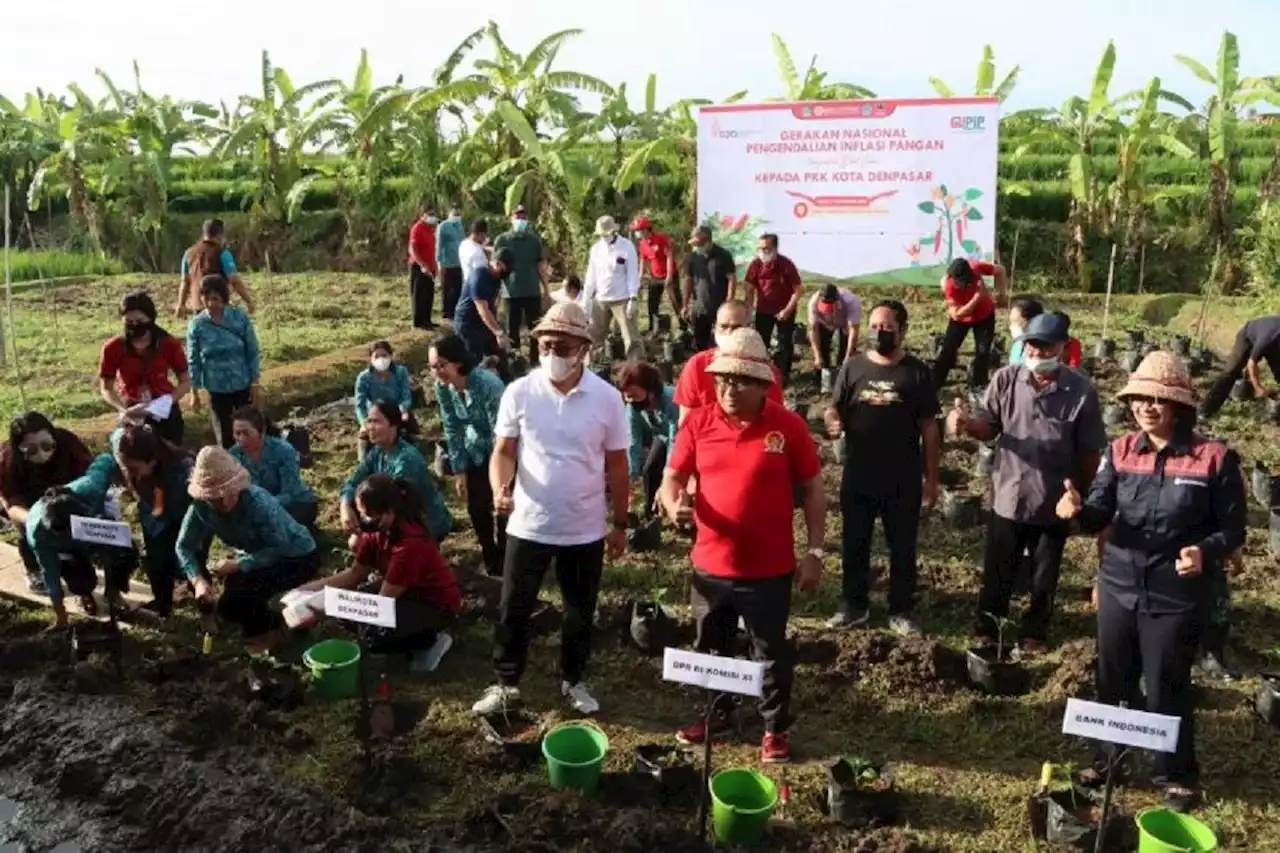 Bali Catat Inflasi 6 Persen, Langkah Wali Kota Denpasar Layak Dicontoh, Lihat Tuh