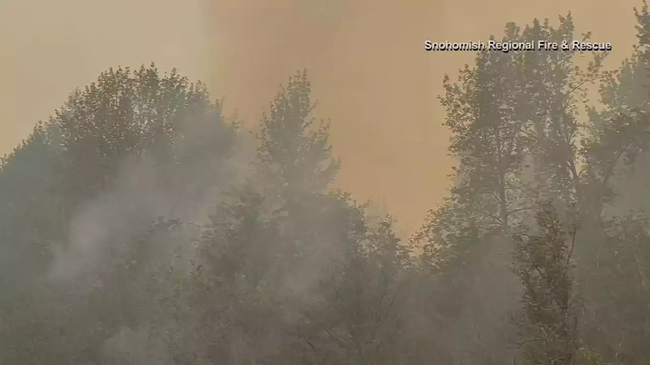 Evacuation levels updated as Bolt Creek Fire movement slows