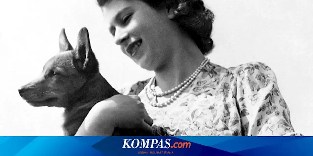 7 Hewan Peliharaan Favorit Keluarga Kerajaan Inggris