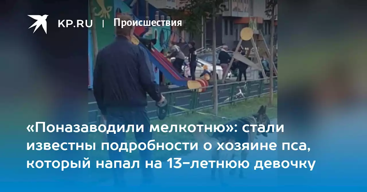 «Поназаводили мелкотню»: стали известны подробности о хозяине пса, который напал на 13-летнюю девочку