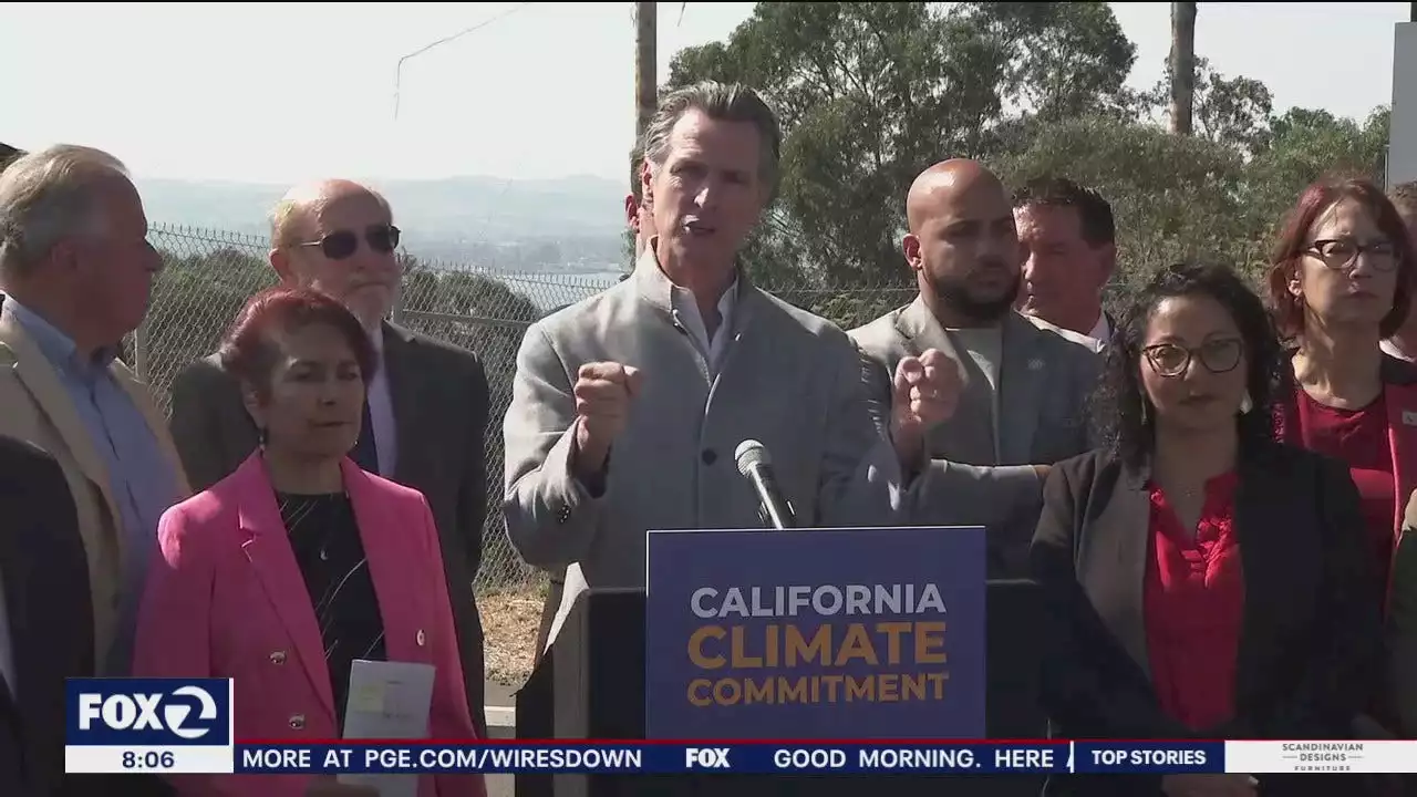 DeSantis: Newsom's hair gel is 'interfering with his brain function' over immigration stance