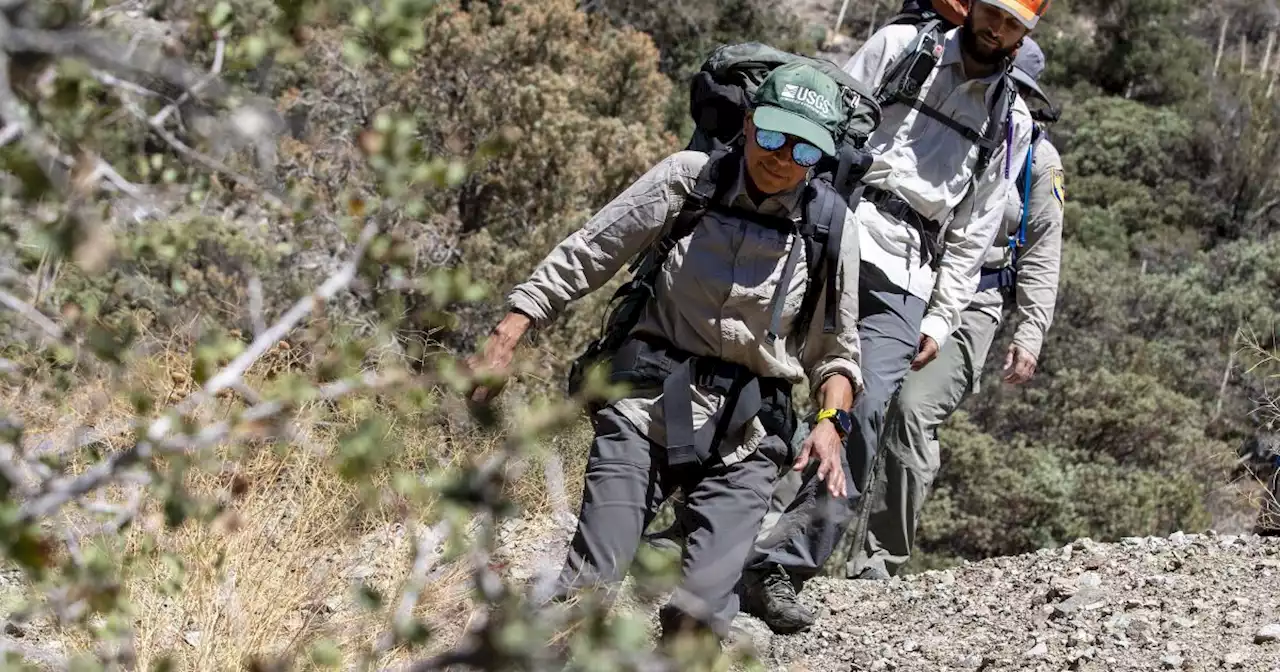 Rare yellow-legged frogs are returned to drought-hammered San Gabriel Mountains