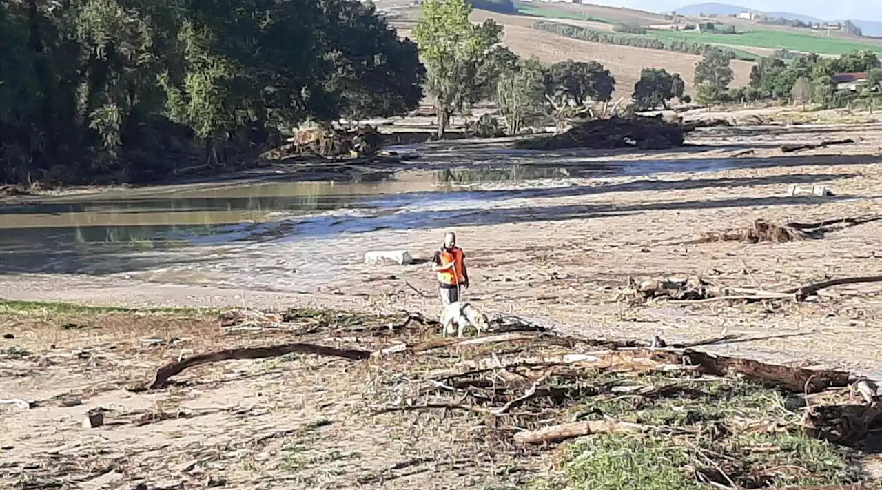 Alluvione Marche, ancora senza esito le ricerche dei due dispersi