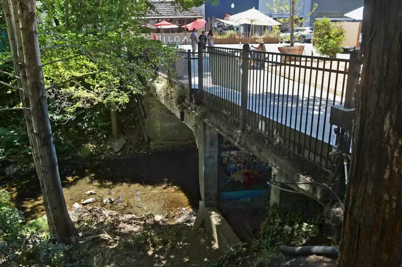 San Anselmo bridge deemed major safety risk