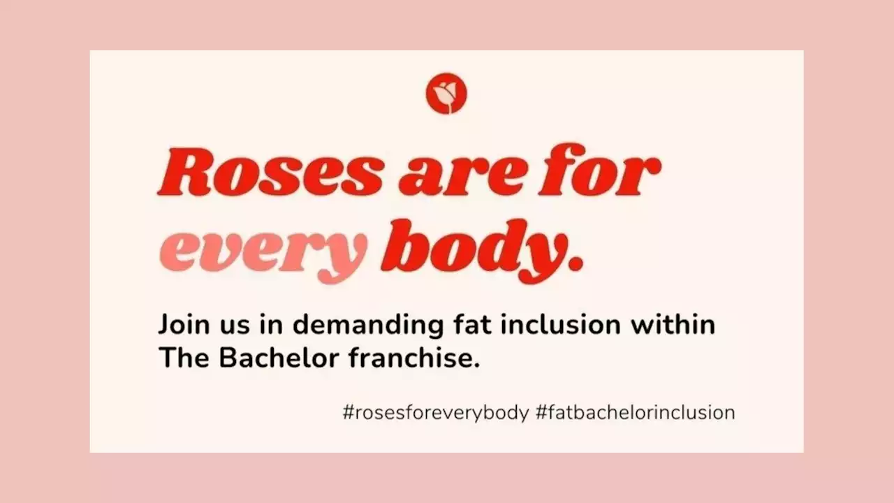 'Roses for Every Body' Calls for Fat Inclusion on 'The Bachelor'