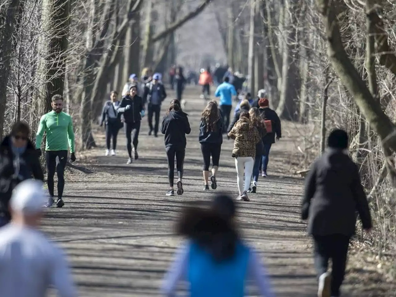 Walking at a faster pace has 'benefits above and beyond' hitting 10,000 steps a day