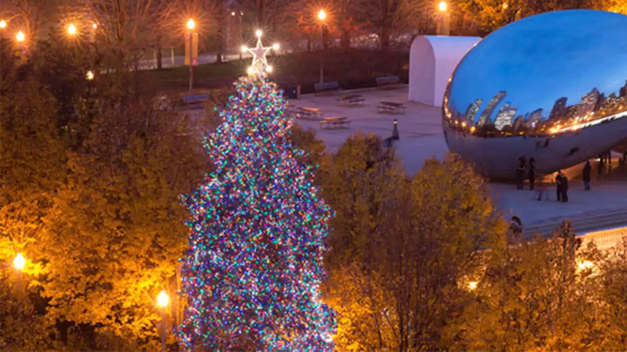 Chicago Starts Search for City's Official 2022 Christmas Tree