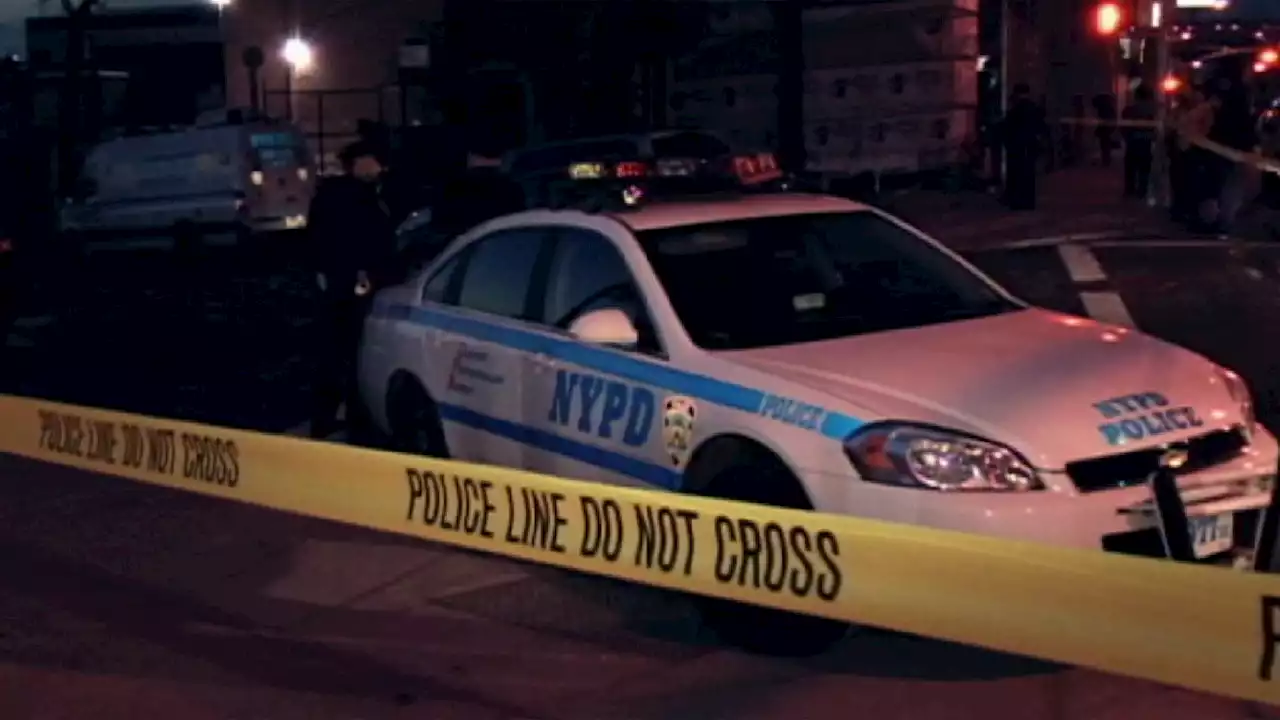 Danish Tourist Shot in the Back During NYC Robbery Early Sunday