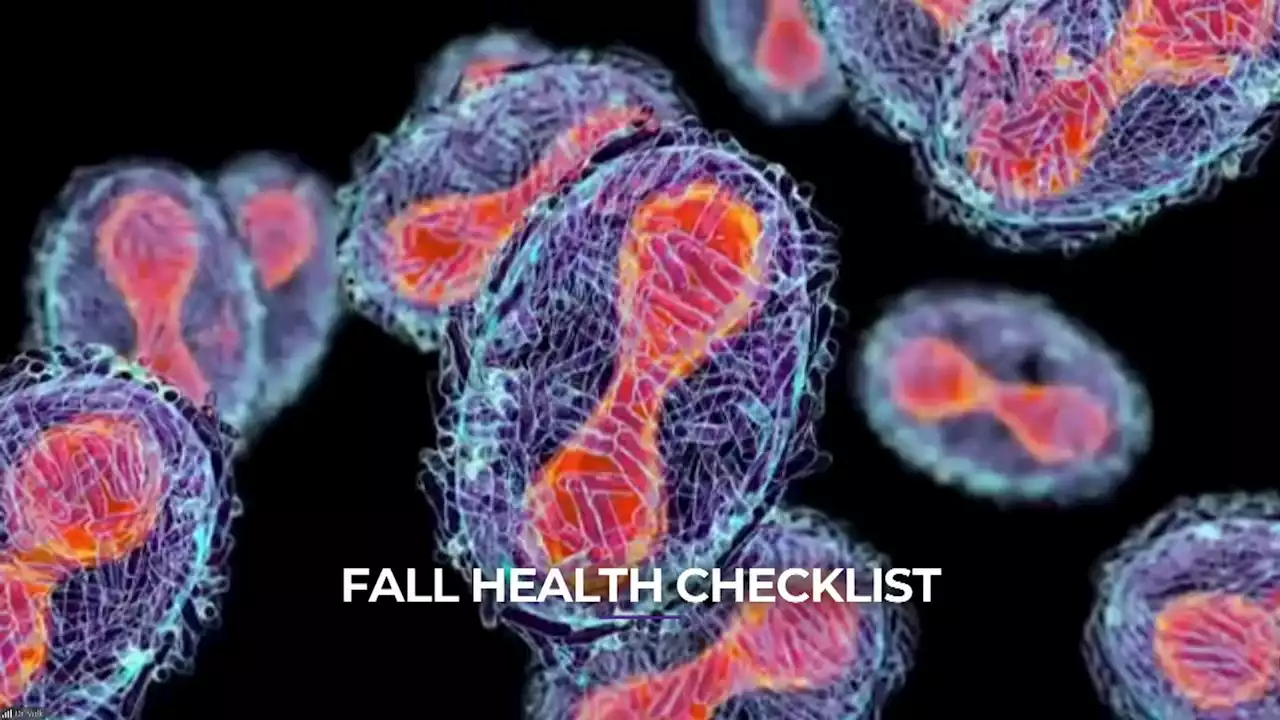 Fall Health Checklist