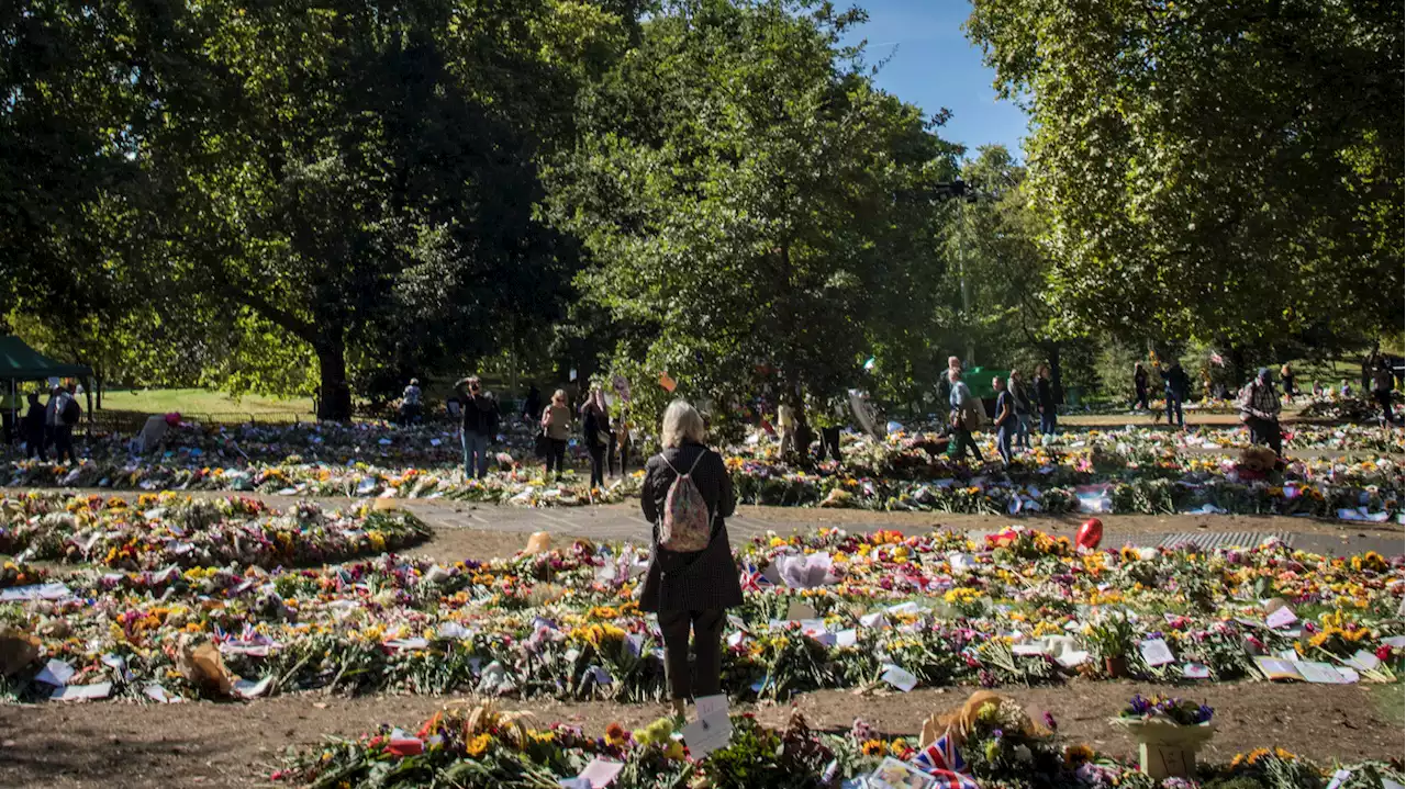 A London park blooms with flowers, stuffed animals and handwritten notes to the queen