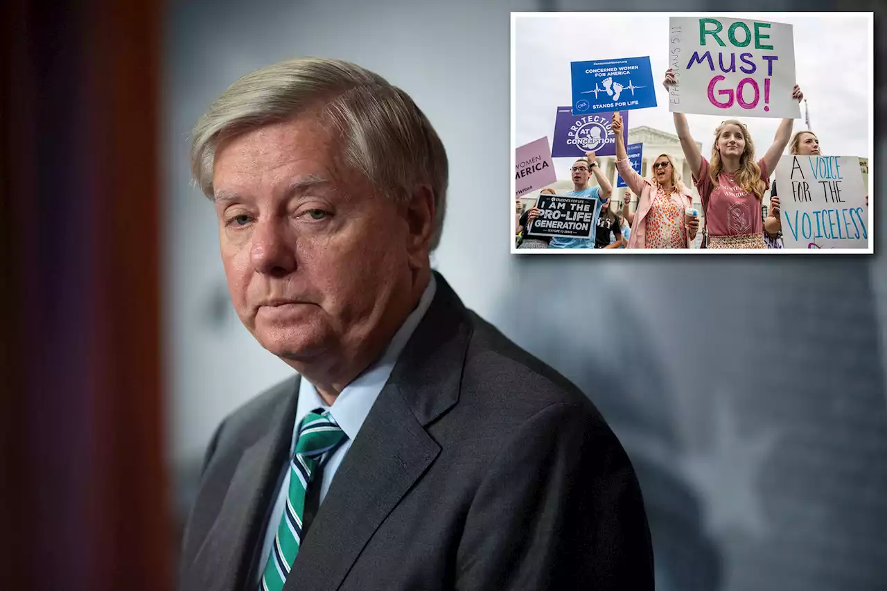 GOP Sen. Graham says unborn children deserve protection