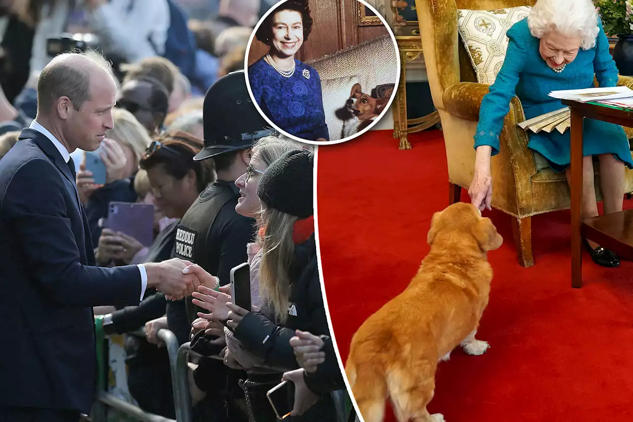 Prince William reassures fan that Queen Elizabeth II’s beloved corgis are ‘fine’