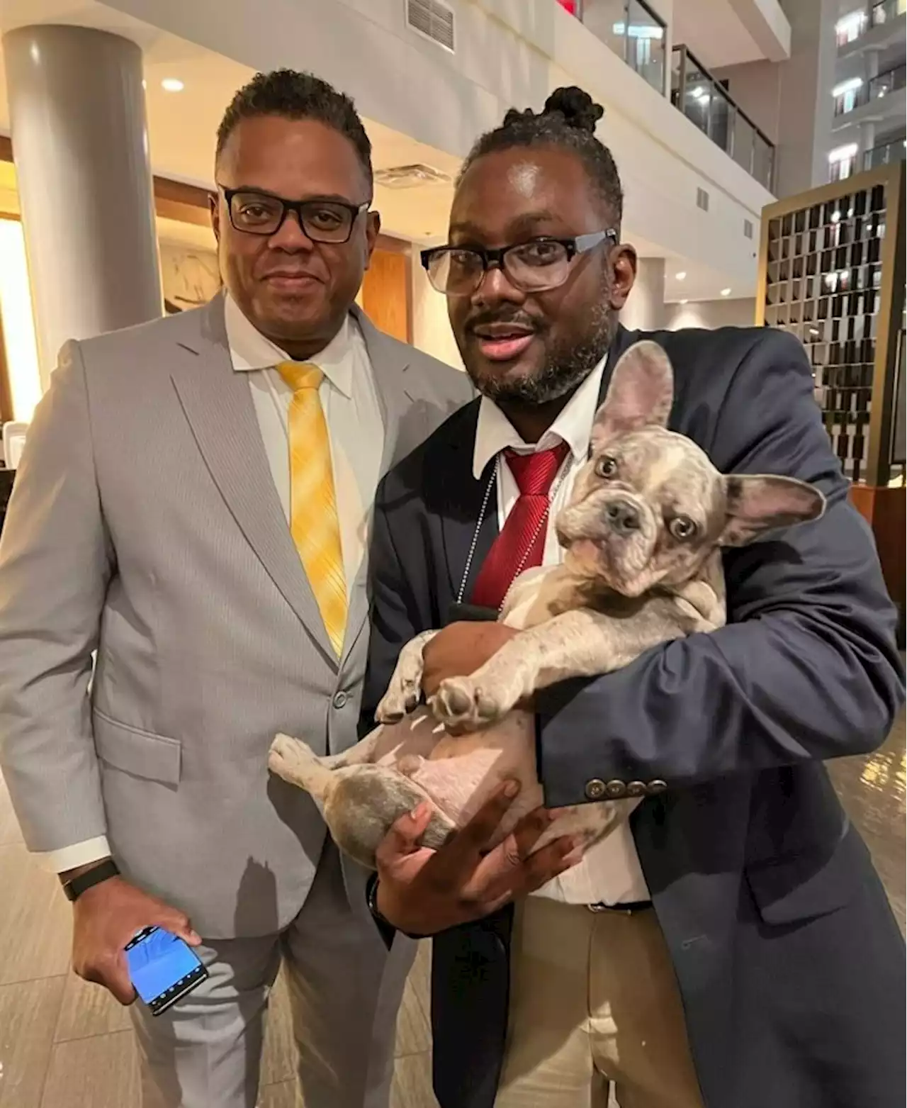 Update: “Hugo has been Located Suspect Still Sought” 6-month old French Bulldog named Hugo stolen from a Hotel Room on Friday - PoPville