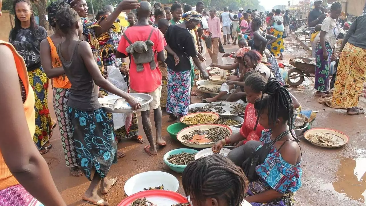 Centrafrique: les ménages se heurtent durement à la hausse des prix