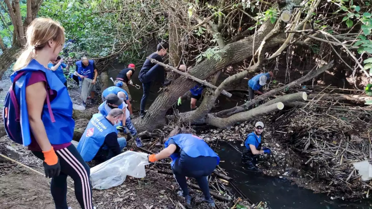 Caffarella, centinaia di volontari tirano a lucido il parco: rimossi i rifiuti anche dall’Almone