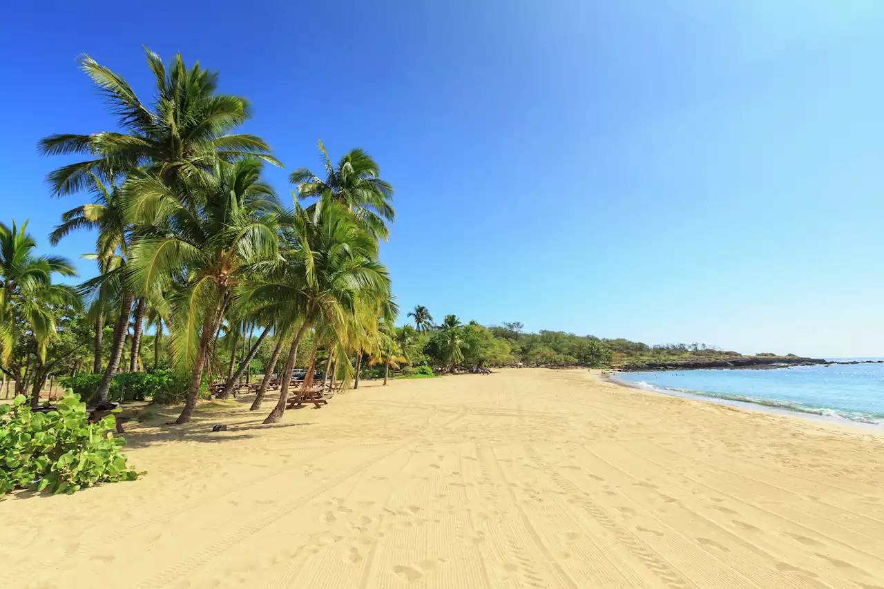 Larry Ellison’s company blocked Lanai beach from public access