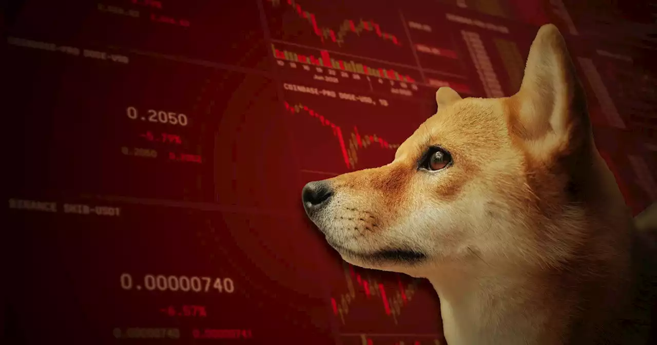 เจ้ามือ Ethereum รายใหญ่เทขายเหรียญ Shiba Inu ทิ้งไปกว่า 1.1 ล้านล้าน SHIB