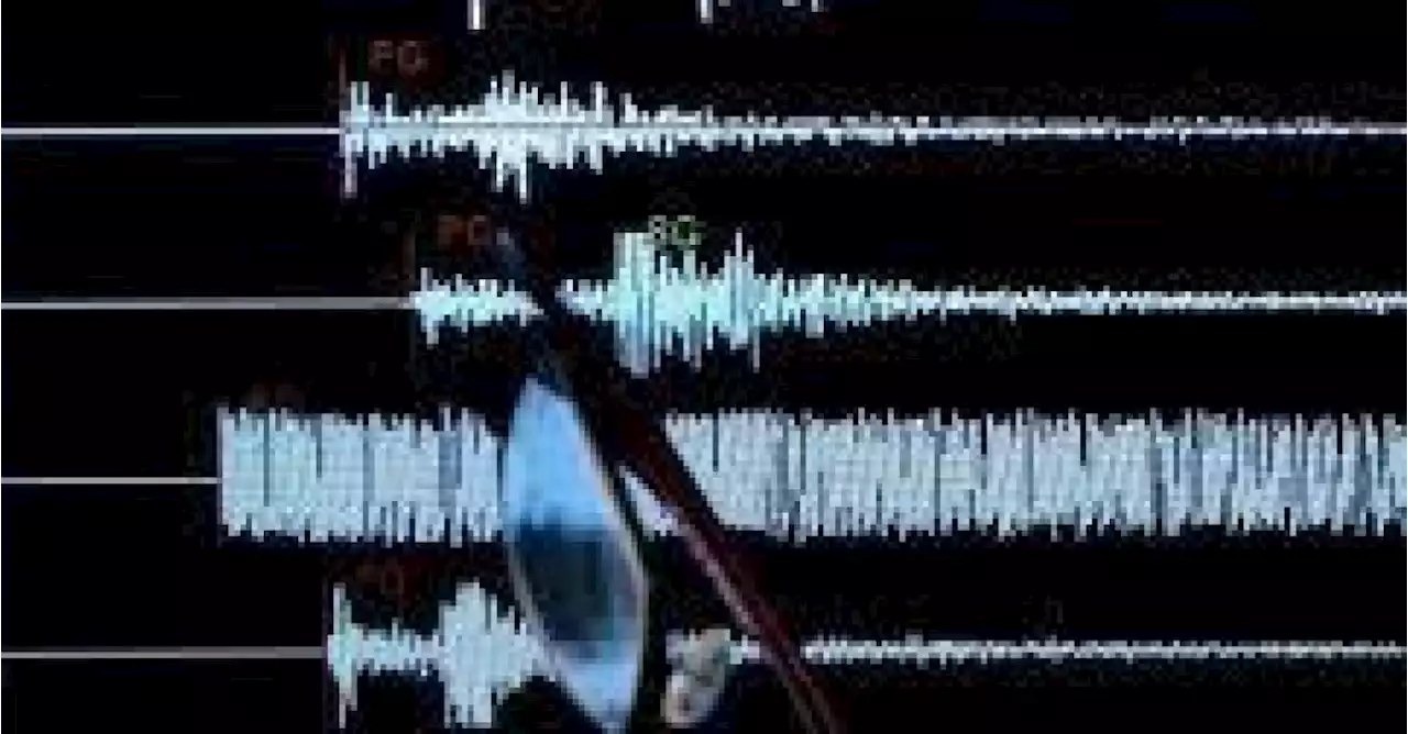 Séisme de magnitude 7,2 à l’est de Taïwan, une alerte tsunami lancée au Japon!