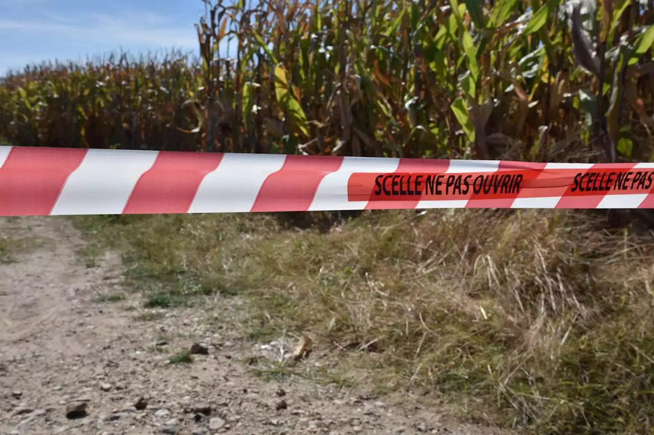 Pyromane en Dordogne : comment quatre jeunes Périgourdins ont coincé l’homme en garde à vue