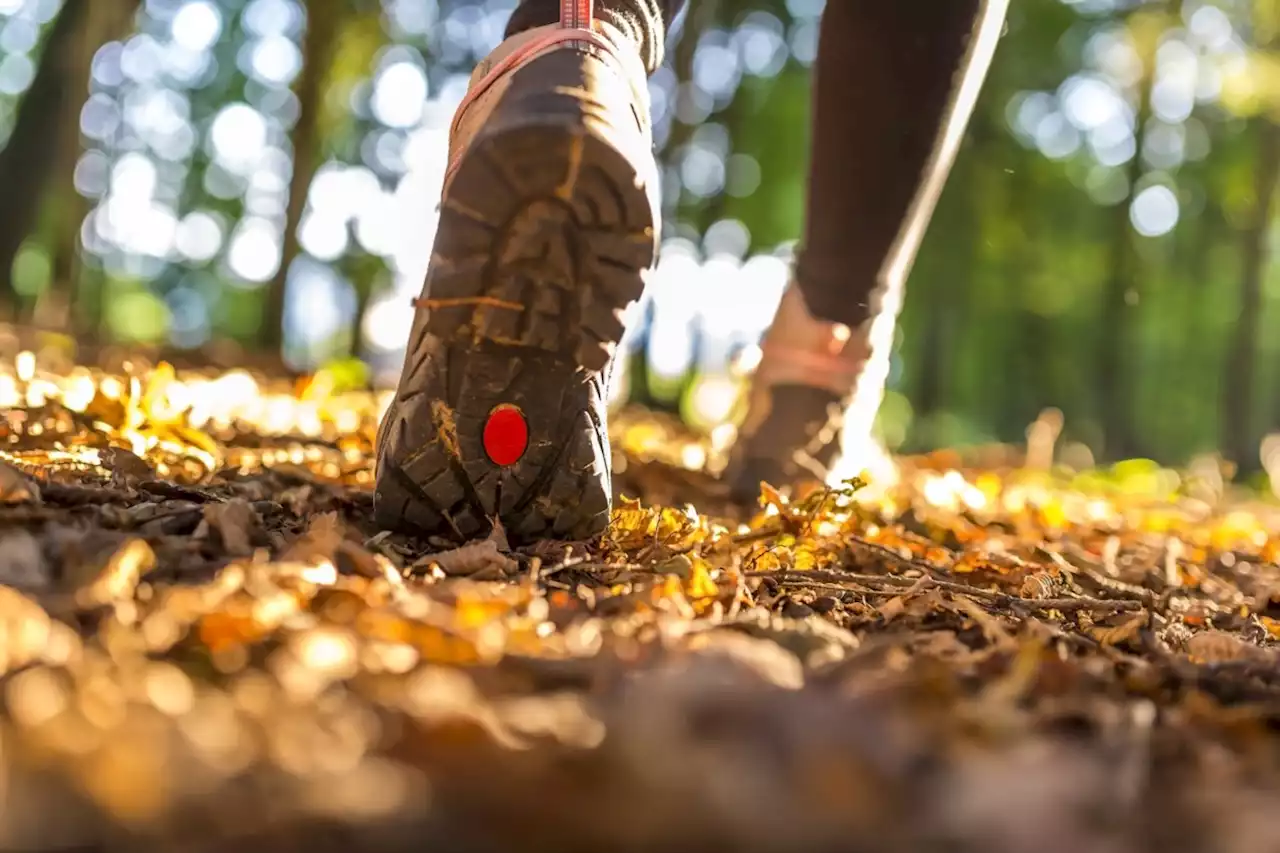 Hike for Health brings communities, outdoor enthusiasts together for a good cause