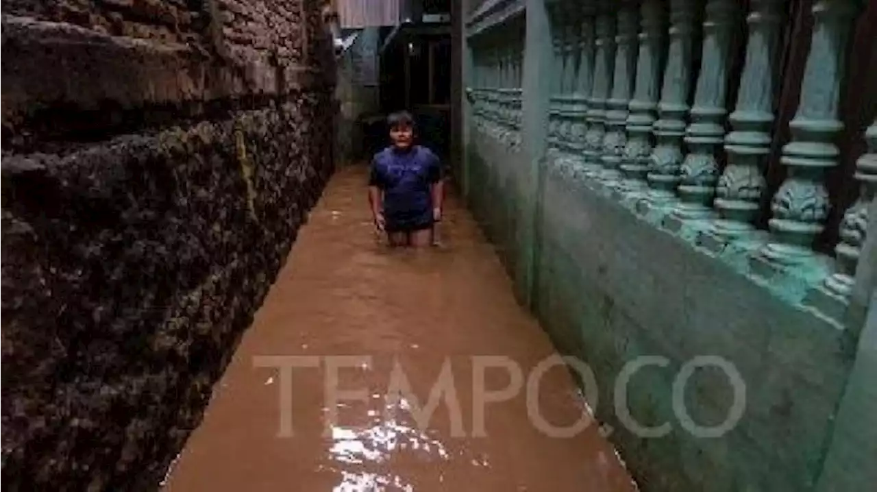 4 Kampung di Desa Tanjung Burung Terendam Banjir, BPBD Kabupaten Tangerang: Luapan Sungai Cisadane