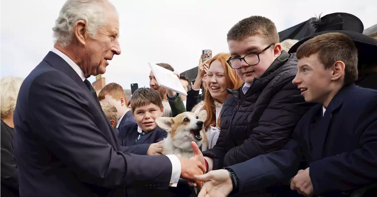 Can the monarchy win over Gen Z? 'King Charles's saving grace is his interest in the climate'