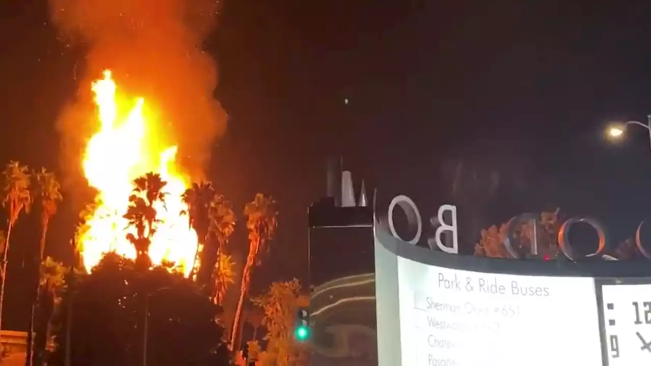 Fire at Hollywood Bowl After 'Sound of Music' Sing-Along