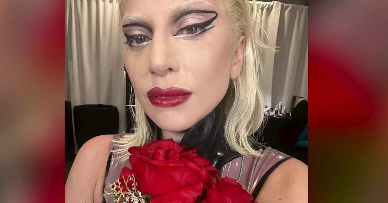 Lady Gaga shares tearful message apologizing to fans for canceling concert mid-show