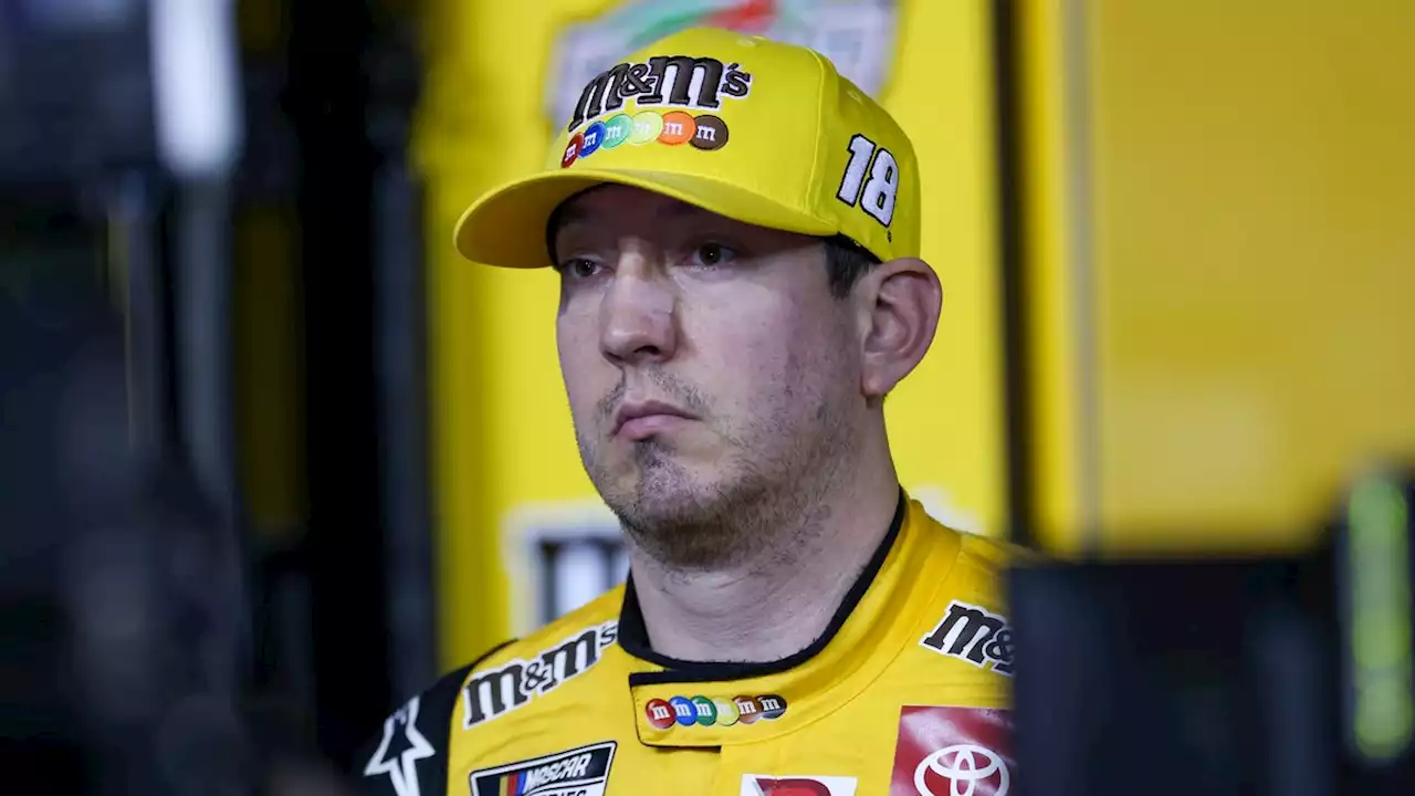 Kyle Busch, Kevin Harvick, Austin Dillon, Tyler Reddick eliminated from NASCAR playoffs