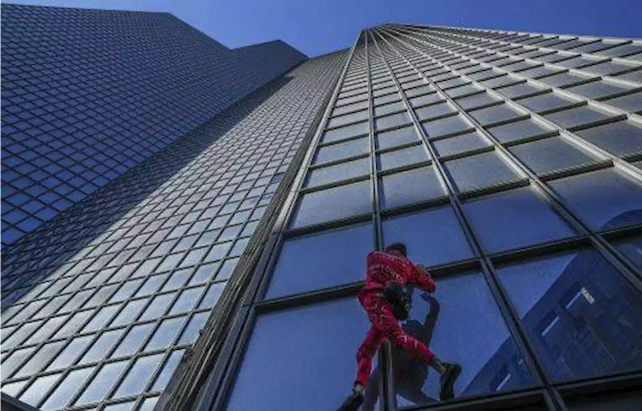 Le « Spiderman français » Alain Robert escalade la tour Total