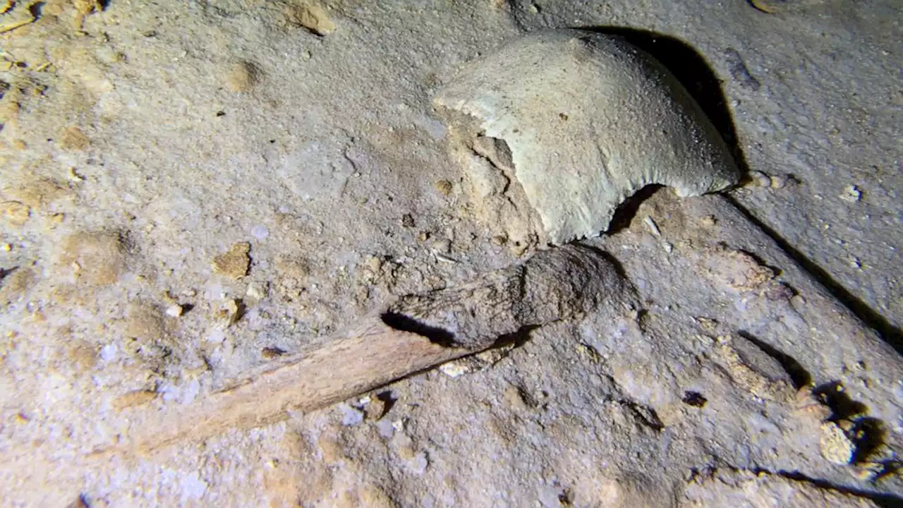 Ancient skeleton found in Mexico cave threatened by train