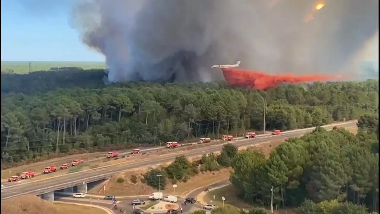 Incendie sur le Bassin d'Arcachon : 100 hectares détruits, 310 personnes évacuées à Arés