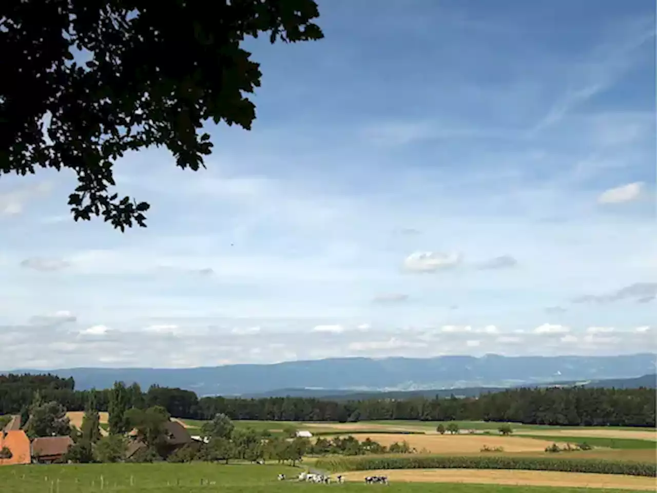 Grosse Kammer widmet sich der Biodiversität in der Schweiz