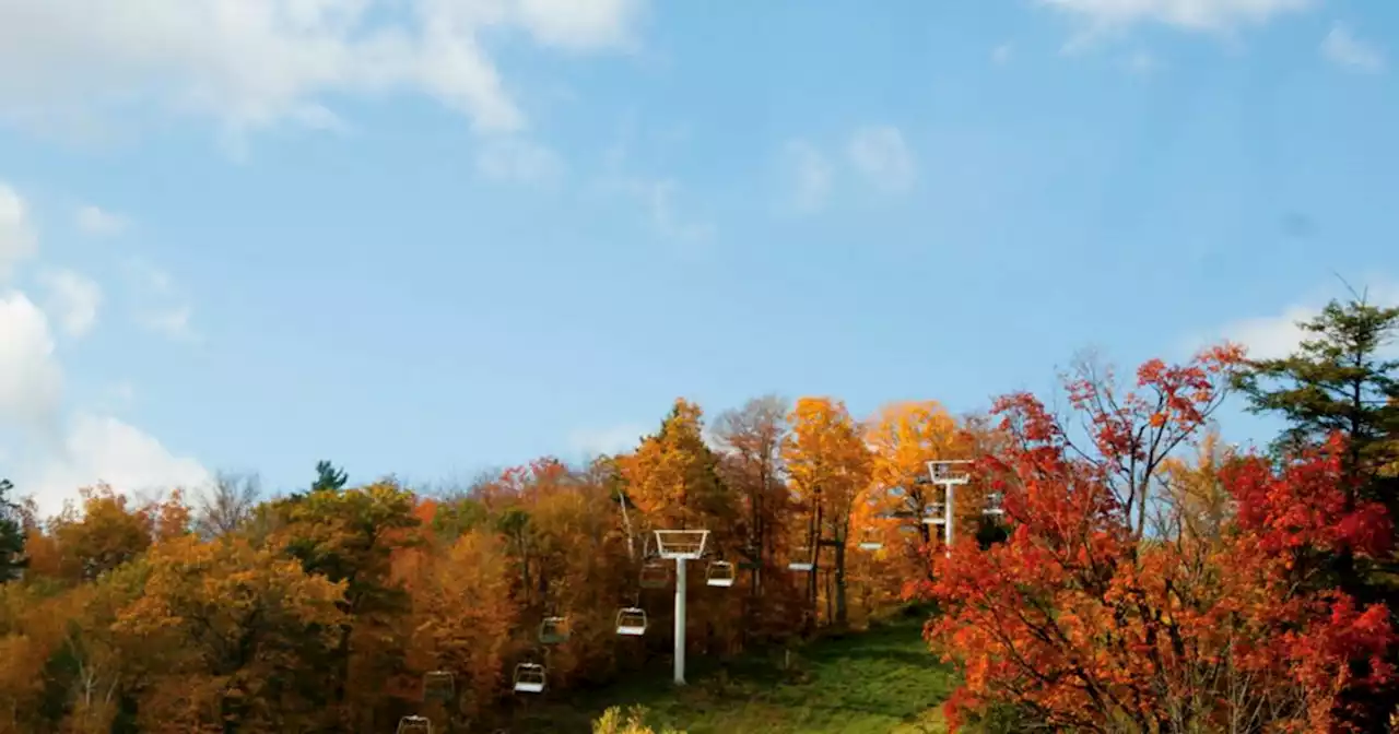 This is when fall colours are expected to peak in Ontario this year