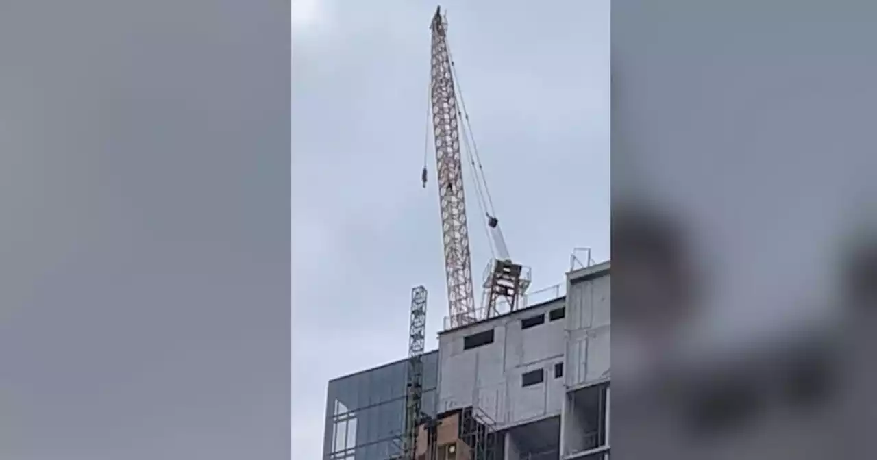 Toronto police called after people spotted climbing crane and taking photos