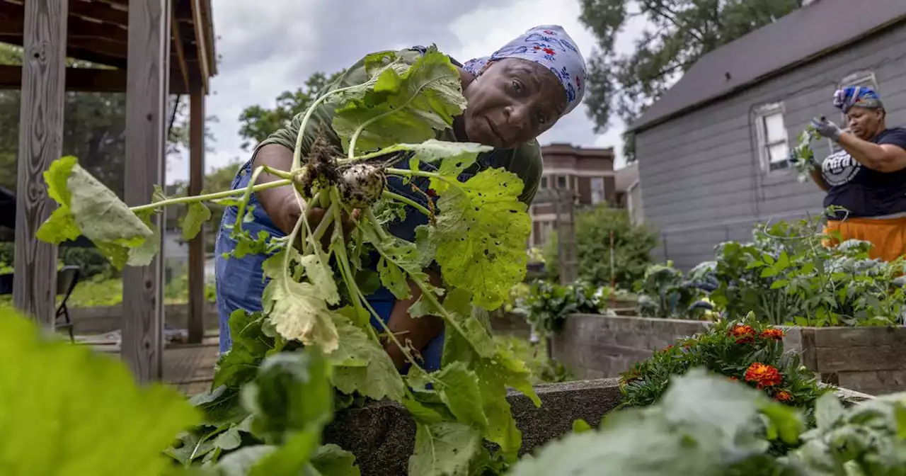 As climate change speaks loudly through heat waves, flooding and wildfires, here are five things you can do to try to turn the tide