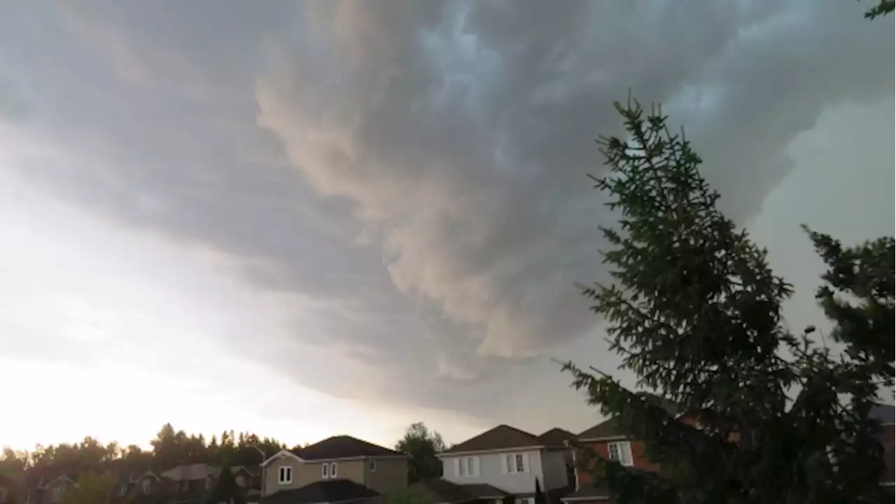 Parts of southern Ontario under severe thunderstorm watch, 90 km/h winds expected