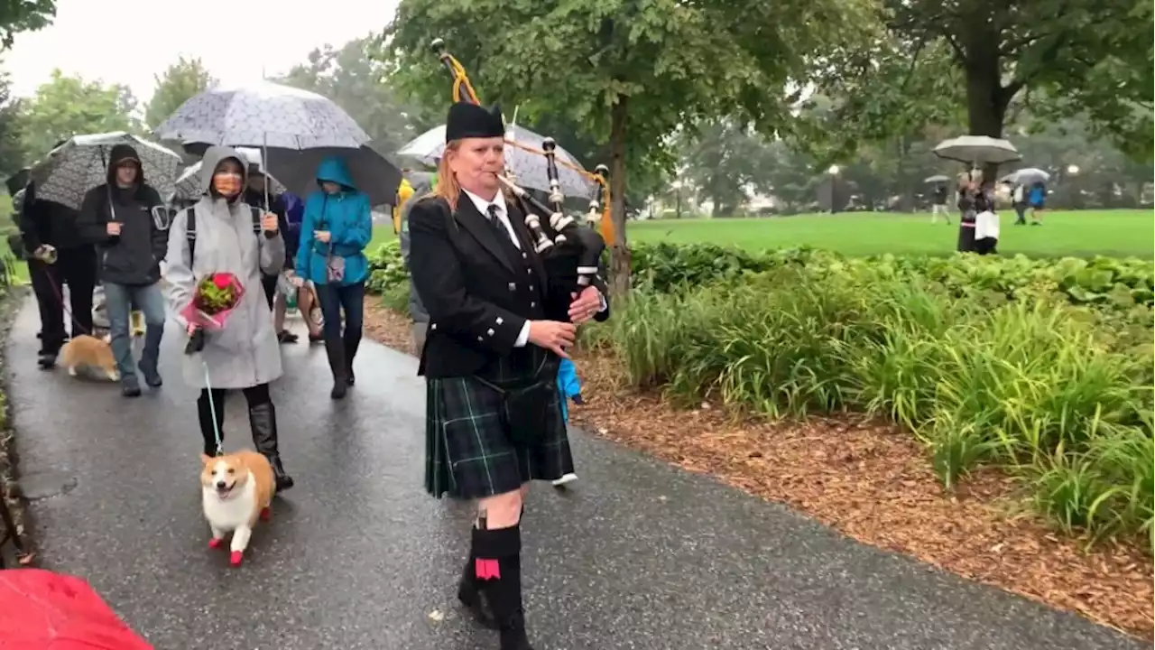 A four-legged tribute to the Queen in Ottawa